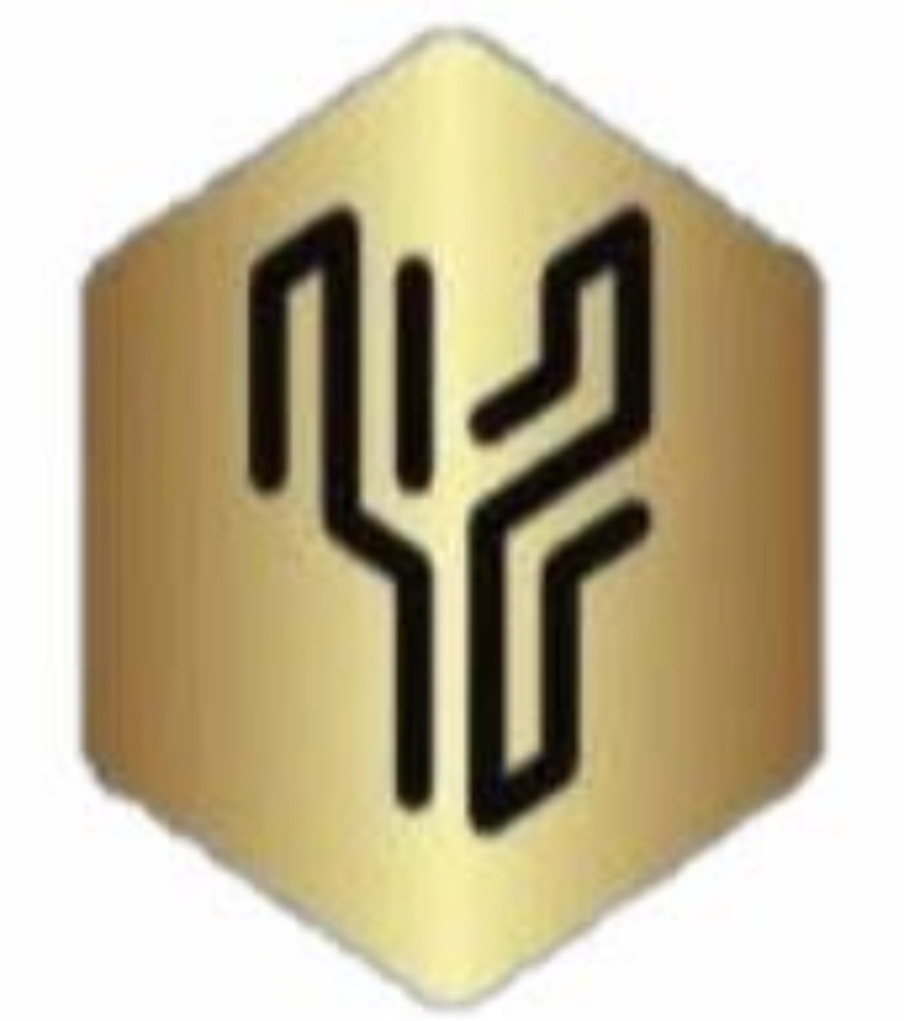 YamboN Consultants logo by Nontyatyambo Ndwandwa